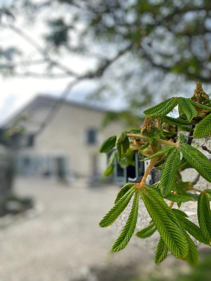 Margueron Figtrees B&B 외부 사진